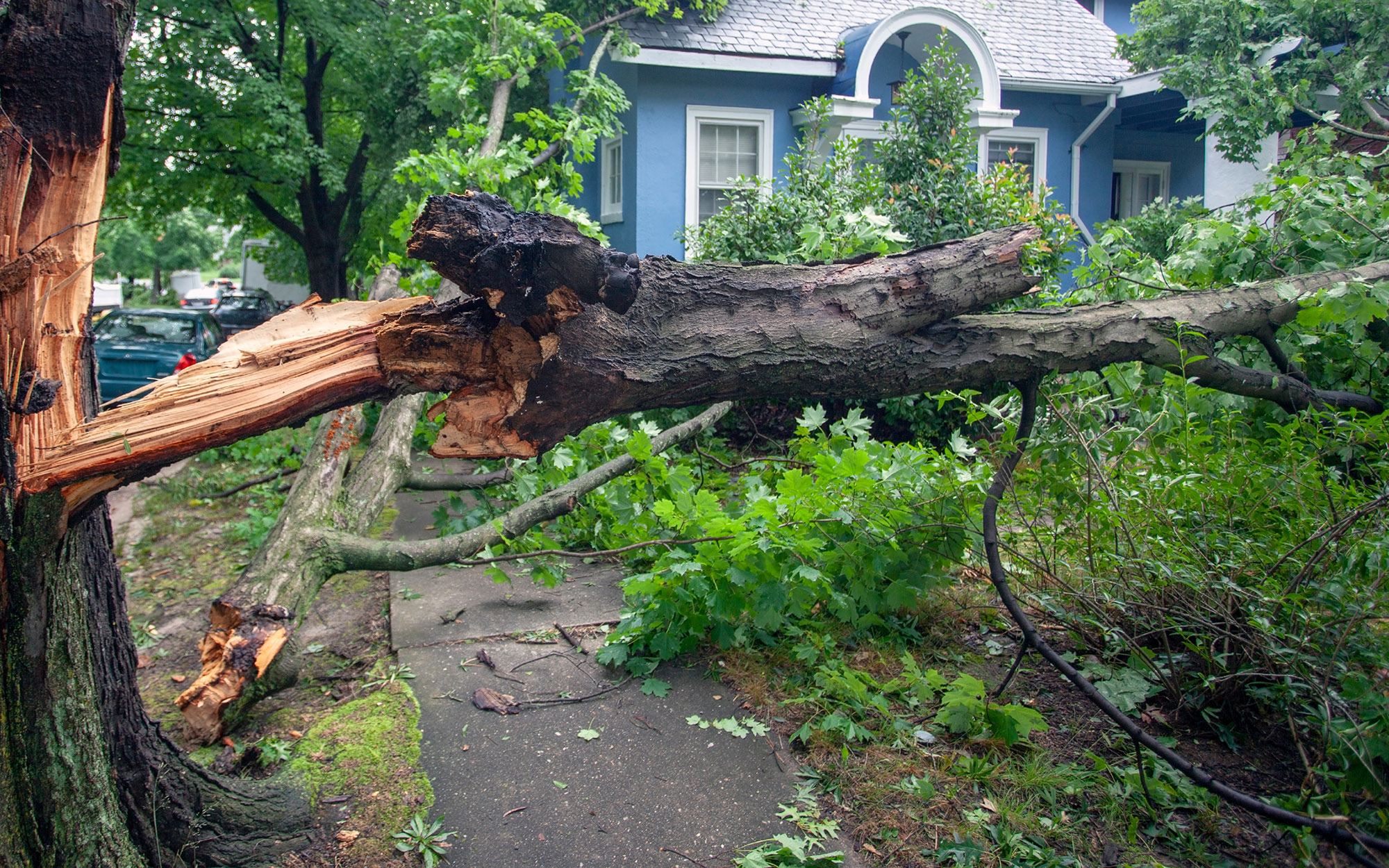 Do you need assistance after the storm?